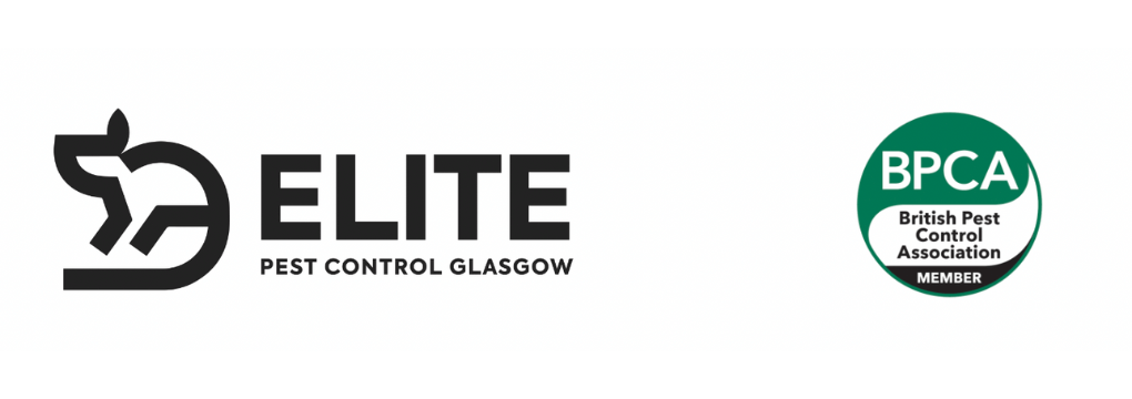 Elite Pest Control Glasgow